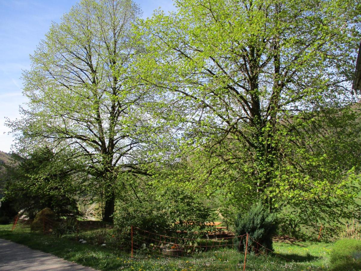 Ferienwohnung Zweilinden Steinen  Esterno foto
